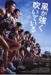 Feel the Wind poster