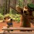 Yogi Bear still
