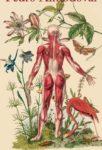 The Skin That I Inhabit poster