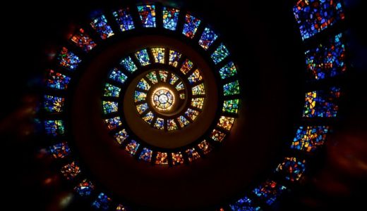 The Tree of Life