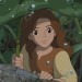 The Borrower Arrietty