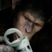 Rise of the Planet of the Apes
