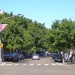 Double Bay - Cross Street Double Bay - Cross Street