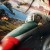Red Tails