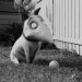 Frankenweenie Frankenweenie