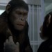 RISE OF THE PLANET OF THE APES