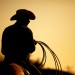 Round Up Round Up