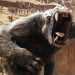 John Carter - White Gorilla John Carter - White Gorilla