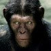Caesar in Rise of the Planet of the Apes