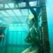 Shark Night 3D Shark Night 3D