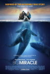 Big Miracle poster
