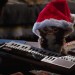 Gremlins - Gizmodo celebrates Christmas in a Santa Hat Gremlins - Gizmodo celebrates Christmas in a Santa Hat