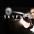 Skyfall 007 James Bond Logo