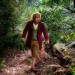 The Hobbit - Martin Freeman as Bilbo Baggins