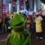 Kermit the Frog - The Muppets