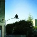 Amazing Spider-man - Marc Webb Twitter Amazing Spider-man - Marc Webb Twitter