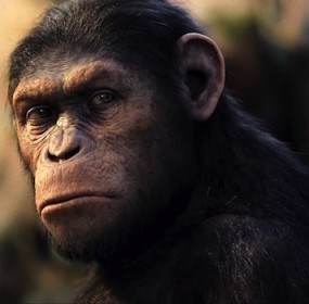 Rise of the Planet of the Apes