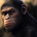 Rise of the Planet of the Apes Rise of the Planet of the Apes