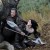 Snow White and the Huntsman