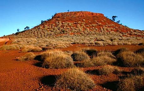 Mystery Road - Ivan Sen