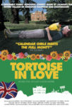 Tortoise in Love poster