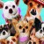 Beverly Hills Chihuahua 3