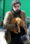 INSIDE LLEWYN DAVIS