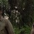 The Walking Dead - Season 3 "Seed"