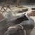 Daniel Craig as James Bond in Skyfall