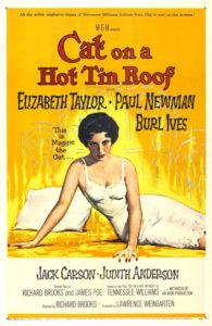 Cat on a Hot Tin Roof poster