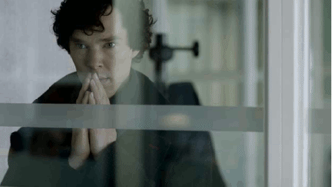 Sherlock waiting patiently